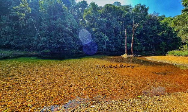 ಪ್ರತಾಪ್‌ ಶೆಣೈ ತೆಗೆದ ಈ ದಿನದ ಫೋಟೊ