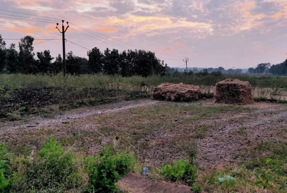 ʻನಿಧಾನವೇ ಪ್ರಧಾನವೆಂಬುದು ನನ್ನ ವಿಧಾನʼ