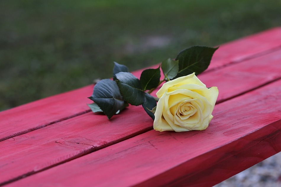 ಡಾ. ಮೈತ್ರೇಯಿಣಿ ಗದಿಗೆಪ್ಪಗೌಡರ ಬರೆದ ಈ ದಿನದ ಕವಿತೆ