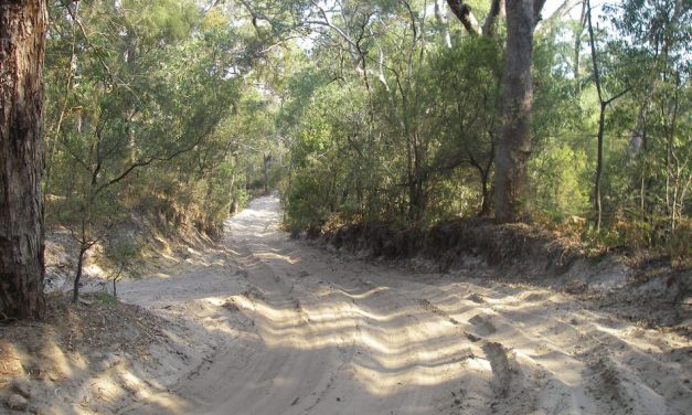 ರೇನ್ಬೋ ಬೀಚ್: ರಾಣಿರಾಜ್ಯದ ಕಾಮನಬಿಲ್ಲು