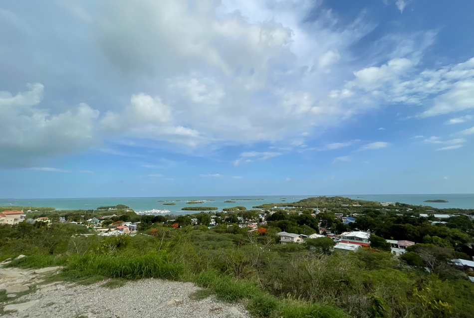 ಬಯೊಲುಮಿನಿಸೆನ್ಸ್ ಎಂಬ ಬೆಳಕಿನ ಮಾಯಾಲೋಕ