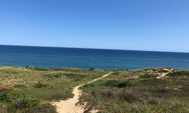 ಮಾರ್ಕೋನಿ ಬೀಚ್: ತೆರೆಯ ಮೇಲಣ ತರಂಗಾಂತರಂಗ