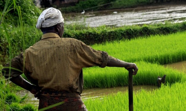 ಹೃದಯ ವೈಶಾಲ್ಯತೆಗೆ ಬೇಲಿ ಹಾಕಿಕೊಳ್ಳುವ ಅನಿವಾರ್ಯ!