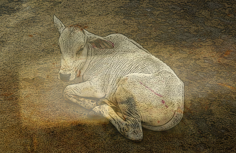 ನಾನು ಮೆಚ್ಚಿದ ನನ್ನ ಕಥಾ ಸರಣಿಯಲ್ಲಿ ಕಲ್ಲೇಶ್‌ ಕುಂಬಾರ್ ಬರೆದ ಕತೆ