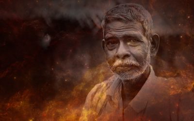 ಬೇರು ಮತ್ತು ಬಿಳಲು…