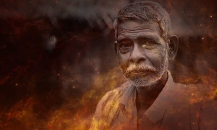 ಬೇರು ಮತ್ತು ಬಿಳಲು…