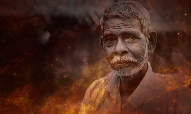 ಬೇರು ಮತ್ತು ಬಿಳಲು…