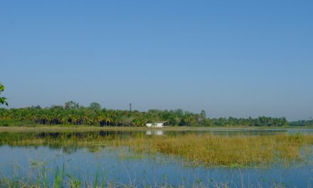 ತೀರಿಹೋದ ತಿರುಮಲೇಶರ ಕುರಿತು