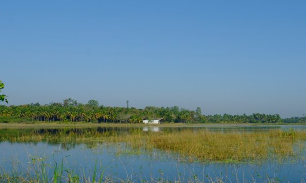 ತೀರಿಹೋದ ತಿರುಮಲೇಶರ ಕುರಿತು