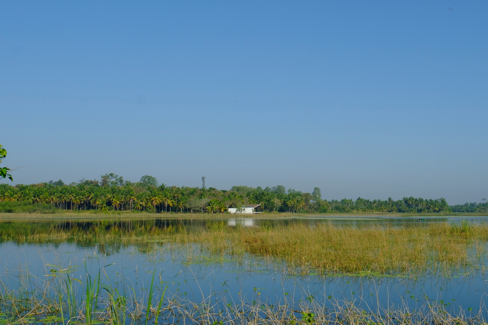 ತೀರಿಹೋದ ತಿರುಮಲೇಶರ ಕುರಿತು