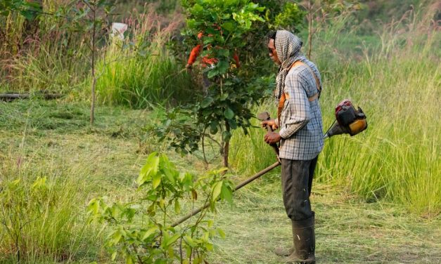 ಕಳೆ ಕತ್ತರಿಸುವ ಯಂತ್ರ ಎಂಬ ಅದ್ಭುತ ಸಾಧನ