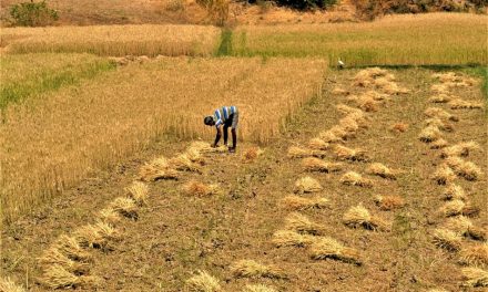 ನಮ್ಮನ್ನು ದೇವರೇ ಕಾಪಾಡಬೇಕು!