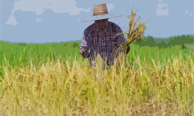 ಹಳ್ಳಿಯ ಸಹವಾಸವೇ ಬೇಡ…!