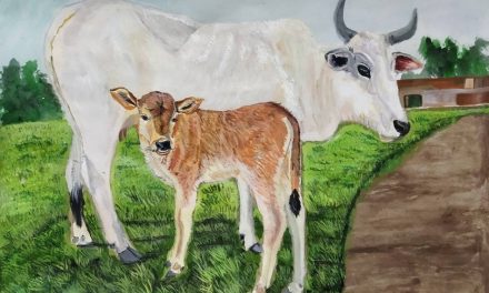 “ಸತ್ಯವೇ ಭಗವಂತನೆಂಬ ಪುಣ್ಯಕೋಟಿಯ ಕಥೆಯಿದು”