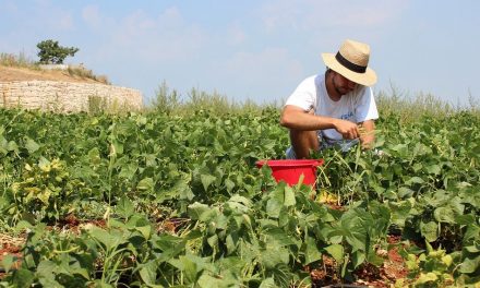 ಮಳೆಬೆಳೆ, ಸಂತೋಷ, ನೆಮ್ಮದಿಗಳ ಕಣಜ