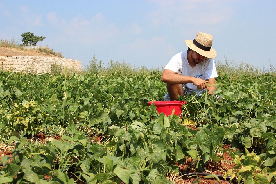 ಮಳೆಬೆಳೆ, ಸಂತೋಷ, ನೆಮ್ಮದಿಗಳ ಕಣಜ