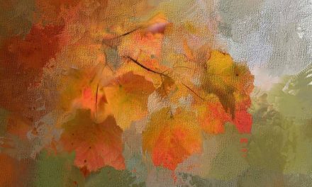 ಅಭಿಷೇಕ ಬಳೆ ಮಸರಕಲ್ ಬರೆದ ಗಜಲ್