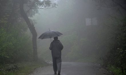 ಬಿಡದೇ ಸುರಿವ ಮಳೆಯೂ.. ಜೊತೆಗೆ ಕೊಡೆಯೂ: ಸುಮಾವೀಣಾ ಸರಣಿ