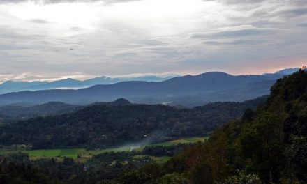ಸುಮಾವೀಣಾ ಬರೆಯುವ “ಕೊಡಗಿನ ವರ್ಷಕಾಲ” ಸರಣಿ ಆರಂಭ