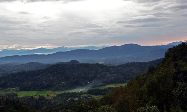 ಸುಮಾವೀಣಾ ಬರೆಯುವ “ಕೊಡಗಿನ ವರ್ಷಕಾಲ” ಸರಣಿ ಆರಂಭ