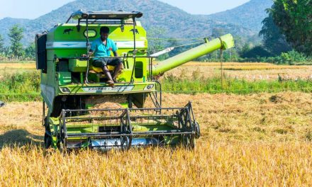 ಕೊನೆಗೂ ಕೈಗೆ ಬಂದ ಭತ್ತ!: ಗುರುಪ್ರಸಾದ ಕುರ್ತಕೋಟಿ ಅಂಕಣ