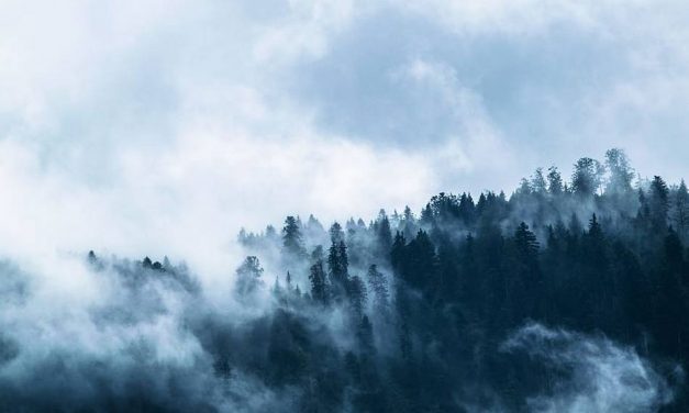 ವಿಜಯಶ್ರೀ ಎಂ. ಹಾಲಾಡಿ ಬರೆದ ಈ ದಿನದ ಕವಿತೆ