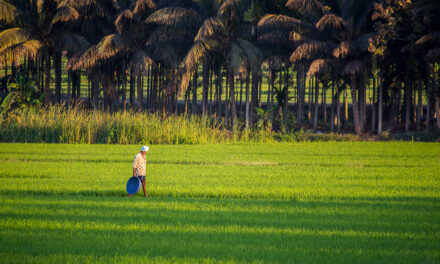 ಯಾರು ಹಿತವರು ನಮಗೆ?: ಗುರುಪ್ರಸಾದ ಕುರ್ತಕೋಟಿ ಅಂಕಣ