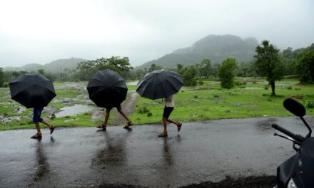 ಮಳೆರಾಯ ಬಂದ ಮಲ್ಲೆಹೂವು ತಂದ: ಚಂದ್ರಮತಿ ಸೋಂದಾ ಸರಣಿ