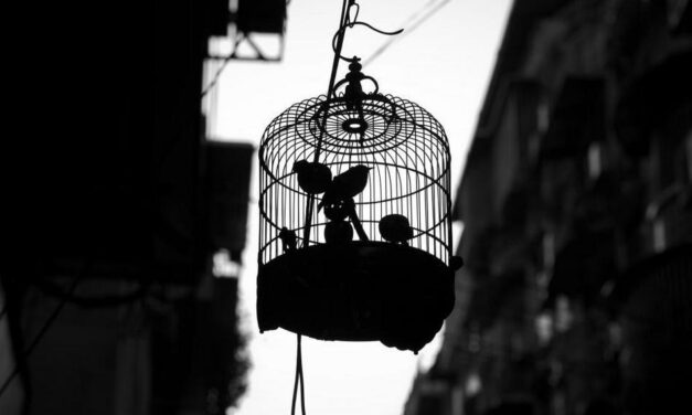 ನಿಯಂತ್ರಿಸುವ ಬುದ್ಧಿಯನ್ನು ನಿಯಂತ್ರಿಸೋಣವೇ?: ಮಾಲತಿ ಶಶಿಧರ್‌ ಅಂಕಣ