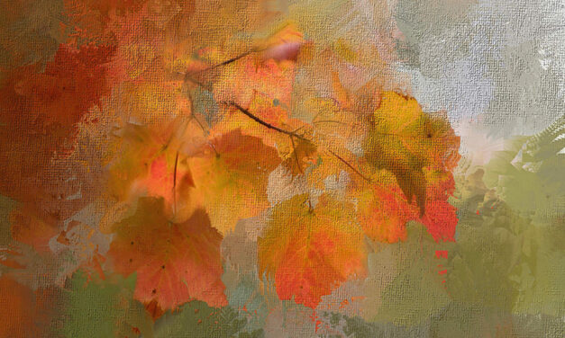 ಲಿಂಗರಾಜ ಸೊಟ್ಟಪ್ಪನವರ್‌ ಬರೆದ ಈ ದಿನದ ಕವಿತೆ