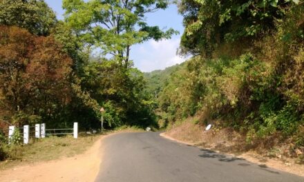 ನಾವು ಹೊರಗೋಡಿ ಹೋದದ್ದು ಯಾಕೆ?: ಸುಮಾವೀಣಾ ಸರಣಿ