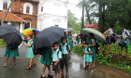 ವರ್ಷಕಾಲದಲ್ಲಿ ಸಂಭ್ರಮಾಚರಣೆಯ ಸಂಕಷ್ಟಗಳು: ಸುಮಾವೀಣಾ ಸರಣಿ