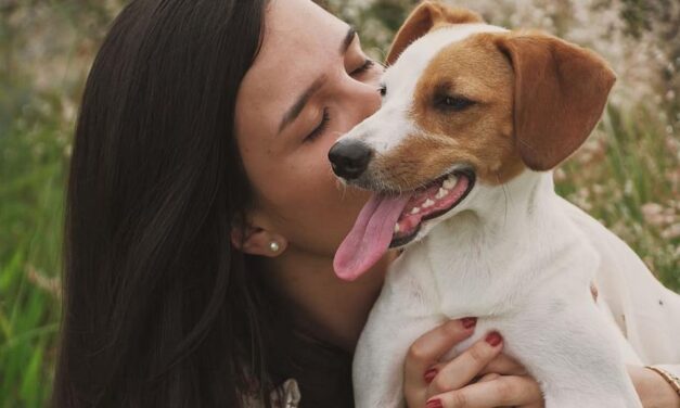 ಜೀವಕ್ಕೊಂದು ಜೀವ…. : ರೂಪಶ್ರೀ ಕಲ್ಲಿಗನೂರ್‌ ಬರಹ