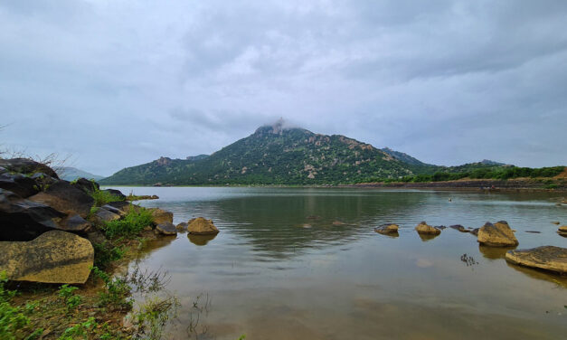 ʻಕೆರೆಯಂ ಕಟ್ಟಿಸು ಬಾವಿಯಂ ಸವೆಸುʼ: ಚಂದ್ರಮತಿ ಸೋಂದಾ ಸರಣಿ