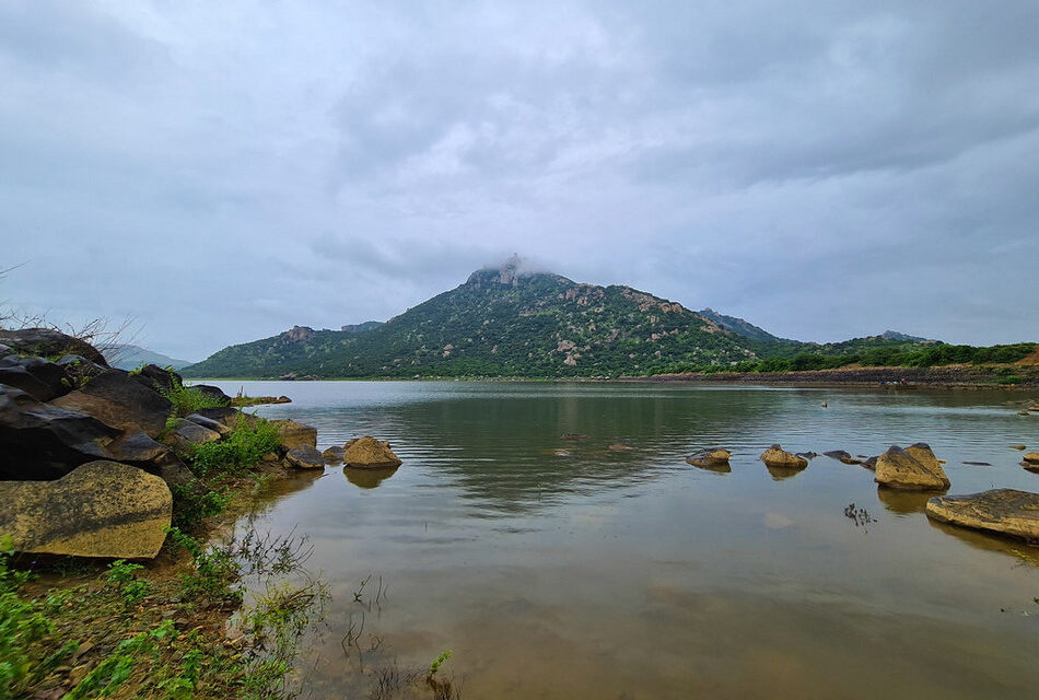 ʻಕೆರೆಯಂ ಕಟ್ಟಿಸು ಬಾವಿಯಂ ಸವೆಸುʼ: ಚಂದ್ರಮತಿ ಸೋಂದಾ ಸರಣಿ