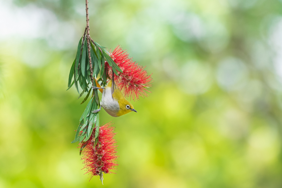 ಕೃಷ್ಣ ದೇವಾಂಗಮಠ ತೆಗೆದ ಈ ದಿನದ ಫೋಟೋ