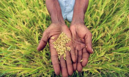 ಅನುಭವದಲ್ಲಿ ಅಮೃತ ಇದೆ: ಗುರುಪ್ರಸಾದ್‌ ಕುರ್ತಕೋಟಿ ಅಂಕಣ