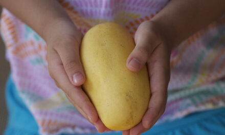 ಬಣ್ಣ, ರುಚಿ ಮತ್ತು ಪರಿಮಳ: ಮಾಲತಿ ಶಶಿಧರ್‌ ಅಂಕಣ