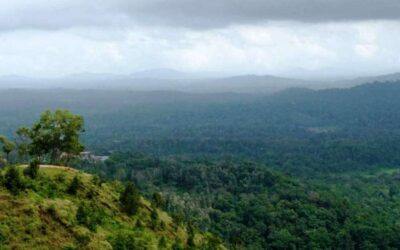 ಆದಿವಾಸಿಗಳ ಜಗತ್ತು: ಸತೀಶ್‌ ತಿಪಟೂರು ಬರಹ