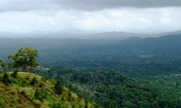 ಆದಿವಾಸಿಗಳ ಜಗತ್ತು: ಸತೀಶ್‌ ತಿಪಟೂರು ಬರಹ