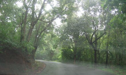 ಸೈಕ್ಲೋನ್ ಮತ್ತು ಮುತ್ತಿನ ಹಾರ: ಸುಮಾವೀಣಾ ಸರಣಿ