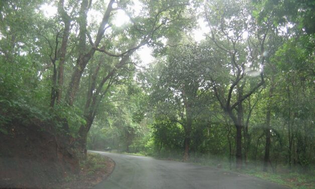 ಸೈಕ್ಲೋನ್ ಮತ್ತು ಮುತ್ತಿನ ಹಾರ: ಸುಮಾವೀಣಾ ಸರಣಿ