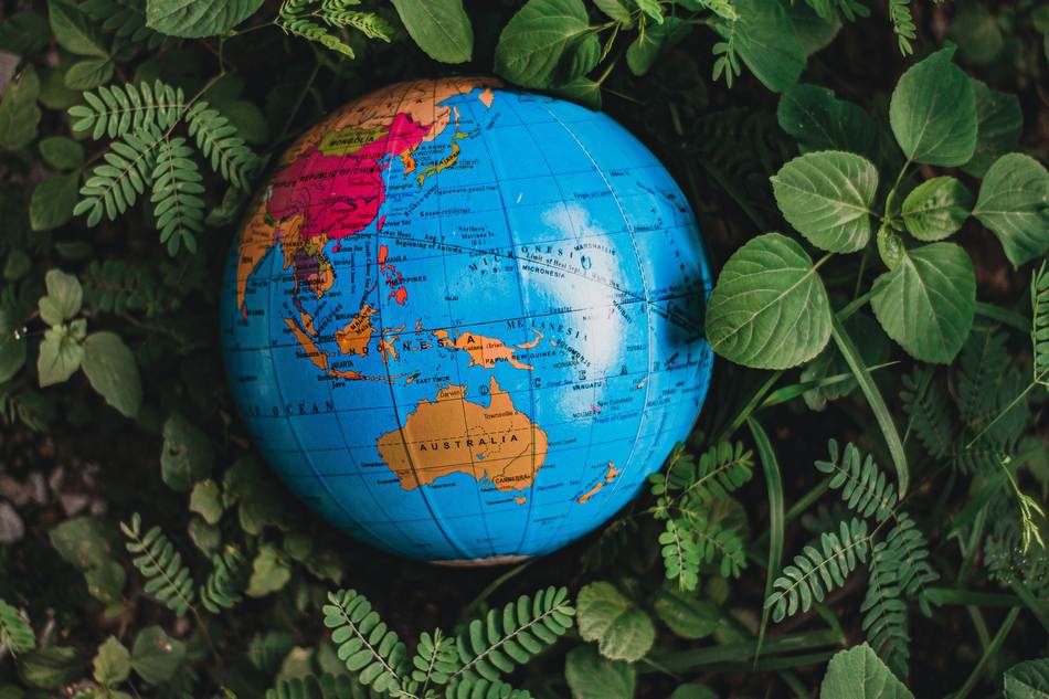 ಭೂಮಿಯ ಆರೋಗ್ಯ ನಮ್ಮ ಆರೋಗ್ಯವೆಂದ ಮಕ್ಕಳು : ಡಾ. ವಿನತೆ ಶರ್ಮ ಅಂಕಣ