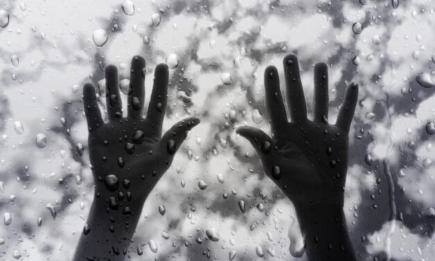 ಜೈಲು ಮತ್ತು ಮಳೆ: ಕೆ. ಸತ್ಯನಾರಾಯಣ ಸರಣಿ