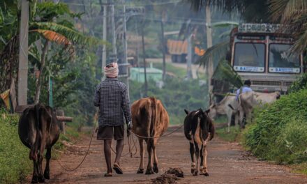 ಸಂಜಯ್ ಚಿತ್ರದುರ್ಗ ಬರೆದ ಈ ದಿನದ ಕವಿತೆ