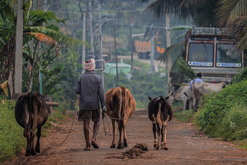 ಸಂಜಯ್ ಚಿತ್ರದುರ್ಗ ಬರೆದ ಈ ದಿನದ ಕವಿತೆ