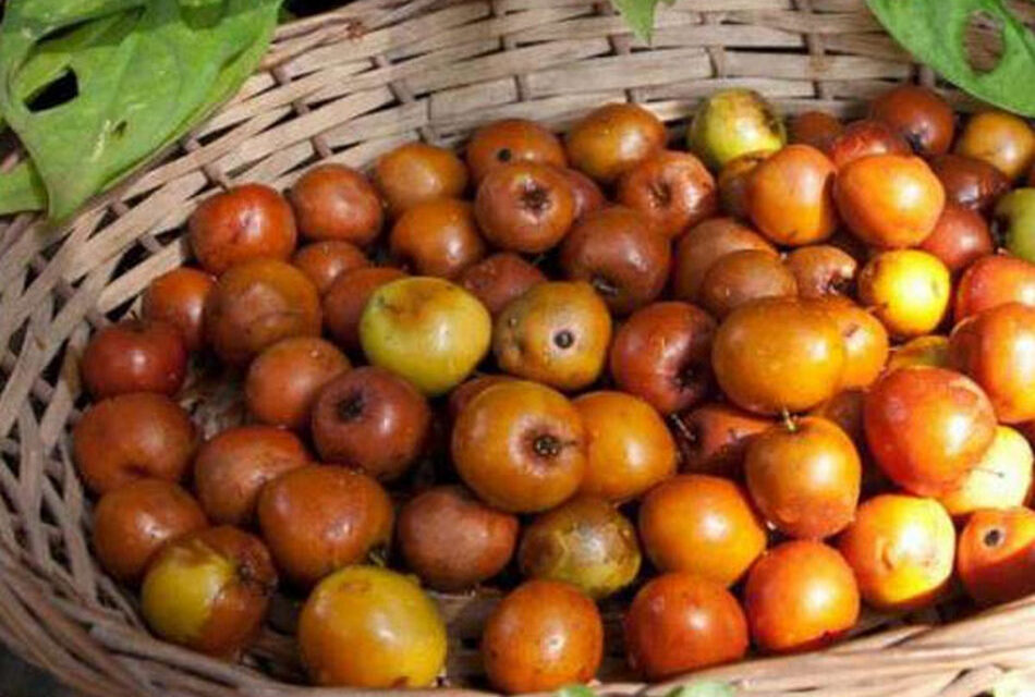 ಬಾರೆಹಣ್ಣು ಮತ್ತು ಪಟ್ಲುಗೋವಿ ಕಿಟ್ಟಪ್ಪ: ಮಾರುತಿ ಗೋಪಿಕುಂಟೆ ಸರಣಿ