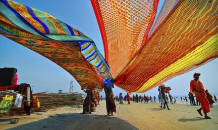 ಸೀರೆ ಎನ್ನುವ ಬೆರಗು: ಚಂದ್ರಮತಿ ಸೋಂದಾ ಸರಣಿ
