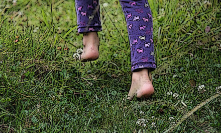 ಶಾಂತಾ ಜಯಾನಂದ್ ಬರೆದ ಈ ದಿನದ ಕವಿತೆ