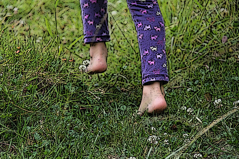 ಶಾಂತಾ ಜಯಾನಂದ್ ಬರೆದ ಈ ದಿನದ ಕವಿತೆ